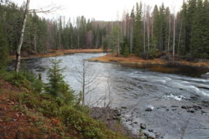 Grenforsen6