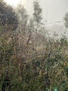 IMG 8890